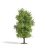 Busch Baum 115 Mm, Frühling H0 -bag shop baum 115 mm fruhling h0 busch 4001738037210