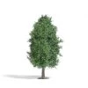 Busch Baum 115 Mm, Sommer H0 -bag shop baum 115 mm sommer h0 busch 4001738037227