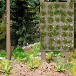 BUSCH Grasbüschel Mit Steinen Spätsommer