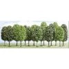 Busch H0 12 Laubbäume -bag shop h0 12 laubbaeume