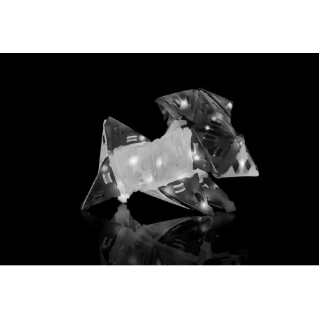 Kosmos Creatto Panda 9 Kosmos Creatto Panda – Bild 7