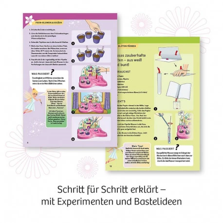 Kosmos Feen-Garten 6 Kosmos Feen-Garten – Bild 4