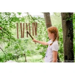 Kosmos Meine Schnitzwerkstatt 2 (50 Neue Schnitz-Ideen) -bag shop kosmos meine schnitzwerkstatt 2 50 neue schnitz ideen 9783440170007 2